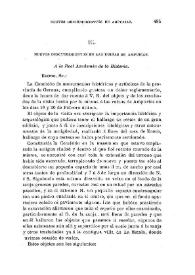 Nuevos descubrimientos en las ruinas de Ampurias / Joaquín Botet y Sisó | Biblioteca Virtual Miguel de Cervantes