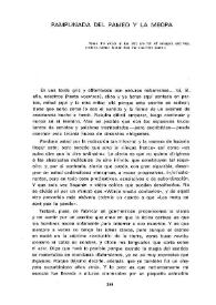 Pamplinada del pameo y la meopa / Francisco E. Feito | Biblioteca Virtual Miguel de Cervantes