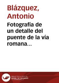 Fotografía de un detalle del puente de la vía romana del Puerto de la Fuenfría. | Biblioteca Virtual Miguel de Cervantes