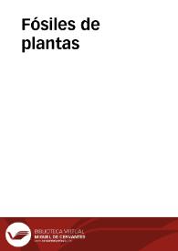 Fósiles de plantas | Biblioteca Virtual Miguel de Cervantes