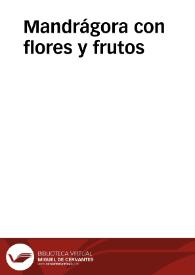 Mandrágora con flores y frutos | Biblioteca Virtual Miguel de Cervantes