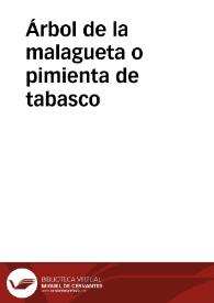 Árbol de la malagueta o pimienta de tabasco | Biblioteca Virtual Miguel de Cervantes