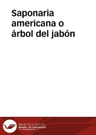 Saponaria americana o árbol del jabón | Biblioteca Virtual Miguel de Cervantes