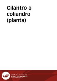 Cilantro o coliandro (planta) | Biblioteca Virtual Miguel de Cervantes