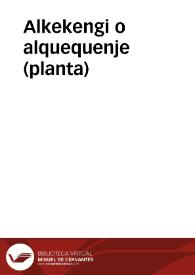 Alkekengi o alquequenje (planta) | Biblioteca Virtual Miguel de Cervantes