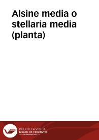 Alsine media o stellaria media (planta) | Biblioteca Virtual Miguel de Cervantes