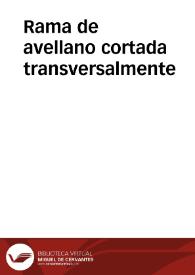 Rama de avellano cortada transversalmente | Biblioteca Virtual Miguel de Cervantes