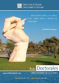 Descomposición térmica de residuos textiles: estudio cinético y formación de contaminantes / Julia Moltó Berenguer | Biblioteca Virtual Miguel de Cervantes