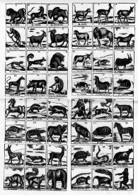 Los animales | Biblioteca Virtual Miguel de Cervantes