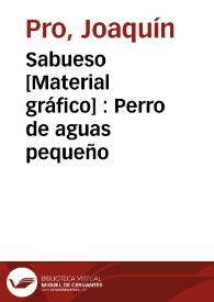 Sabueso [Material gráfico] : Perro de aguas pequeño | Biblioteca Virtual Miguel de Cervantes