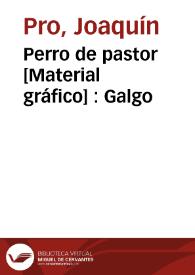 Perro de pastor [Material gráfico] : Galgo | Biblioteca Virtual Miguel de Cervantes