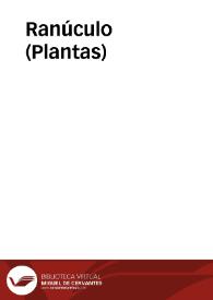 Ranúculo (Plantas) | Biblioteca Virtual Miguel de Cervantes