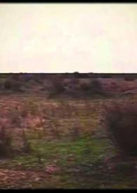 Don Segundo Sombra. Película. Capítulo XV [Fragmento] / adaptación cinematográfica de la novela homónima dirigida por Manuel Antín | Biblioteca Virtual Miguel de Cervantes