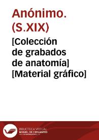 [Colección de grabados de anatomía] [Material gráfico] | Biblioteca Virtual Miguel de Cervantes